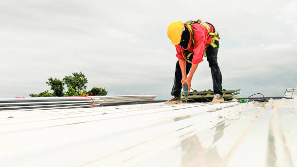 Best Flat Roofing  in Oakland Park, FL
